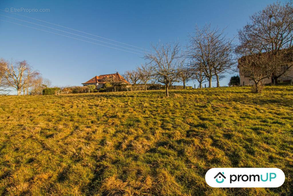 Terrain à SAINTE-FORTUNADE