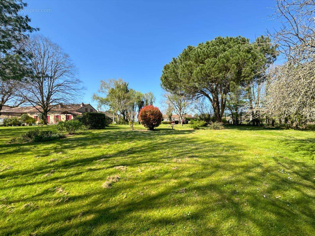 Maison à SAINT-JEAN-D'ATAUX