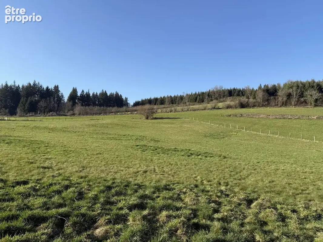 25 min macon - vauxrenard - beaujolais vert -  propriete de campagne - photo 8