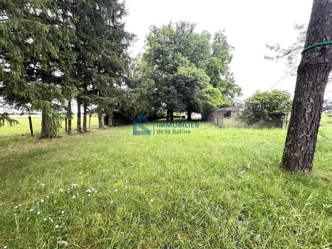 Maison environnement calme - photo 5