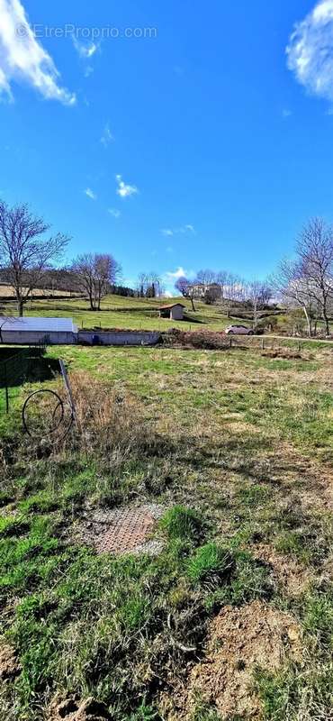Terrain à SAINT-JEAN-SOLEYMIEUX