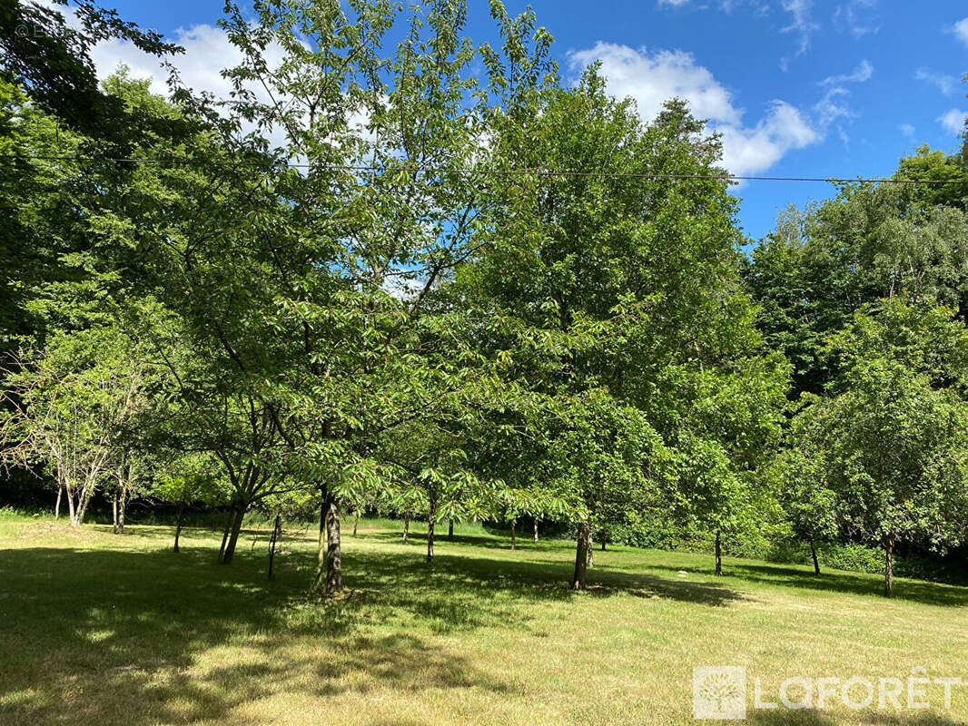Propriété  sur 8 hect de bois - photo 4