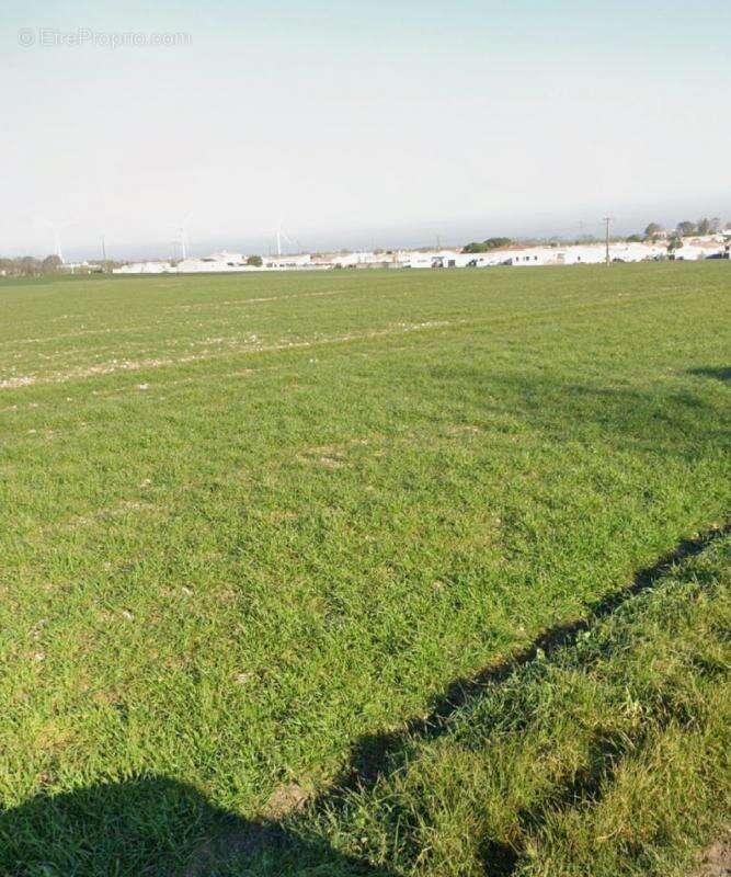 Terrain à ANGLIERS