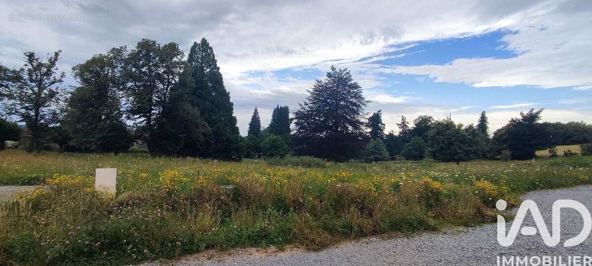 Photo 2 - Terrain à RAZES