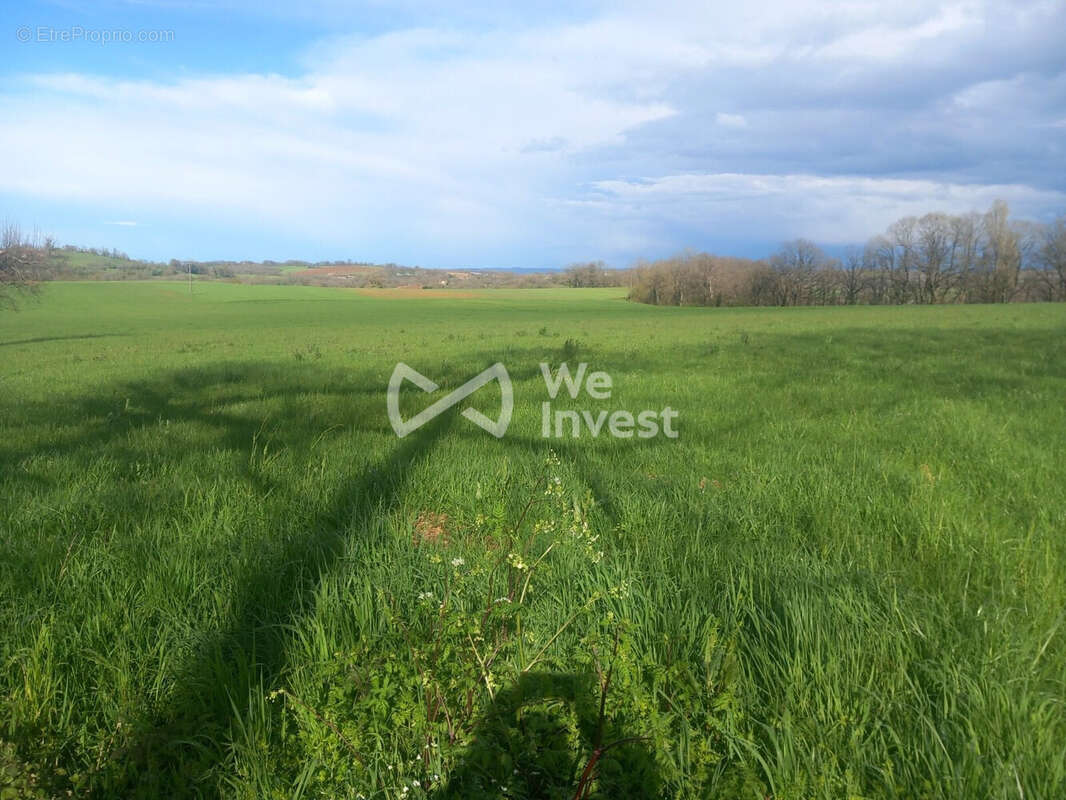 Terrain 2558 m² à Parisot  - photo 2