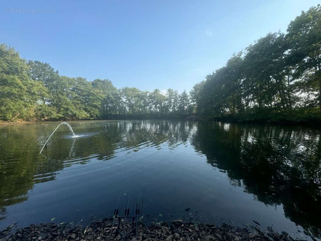 Étang 8200 m2 laizy - photo 4