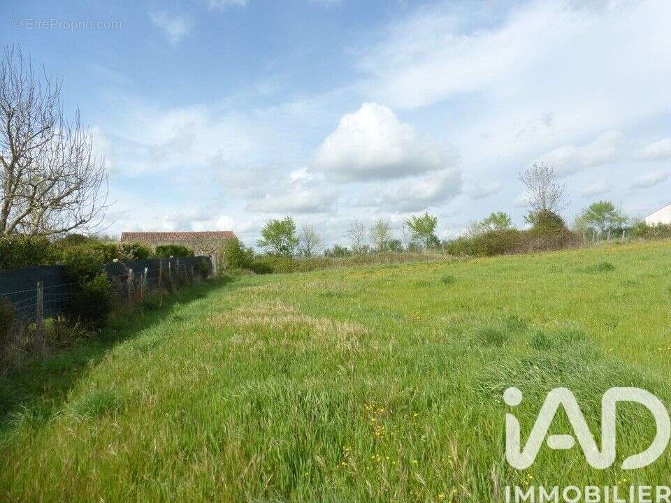 Photo 2 - Terrain à ASNIERES-LA-GIRAUD