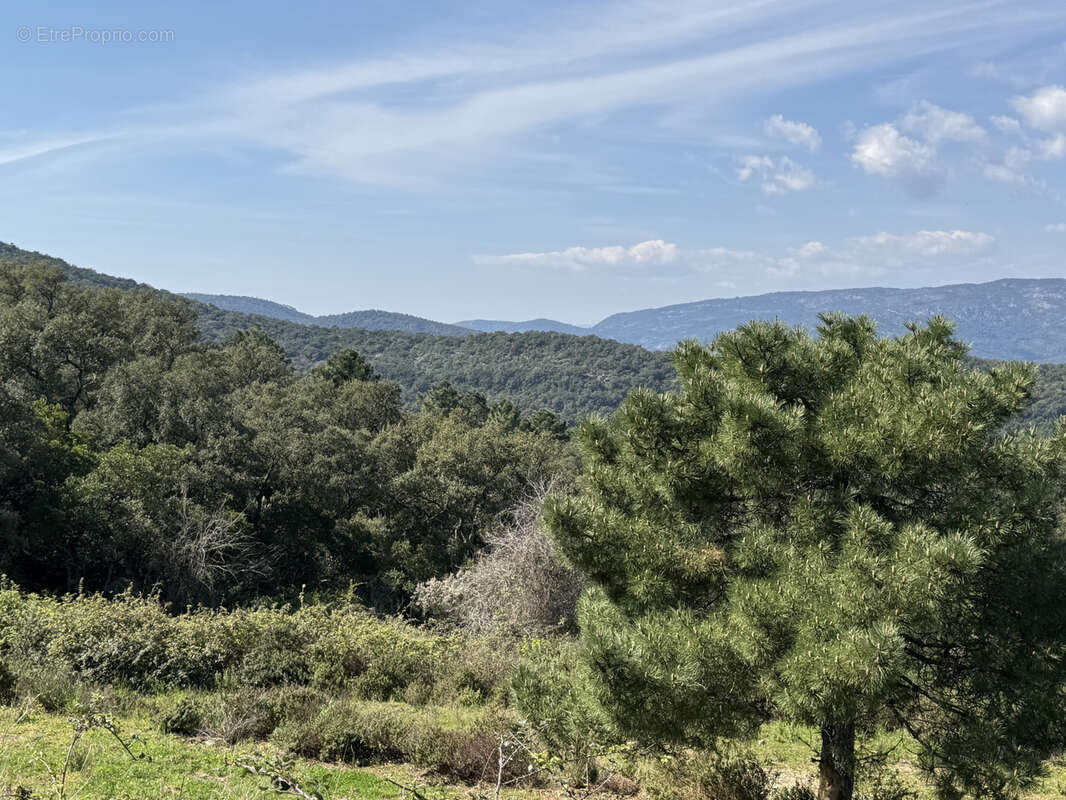Maison à LE LAVANDOU