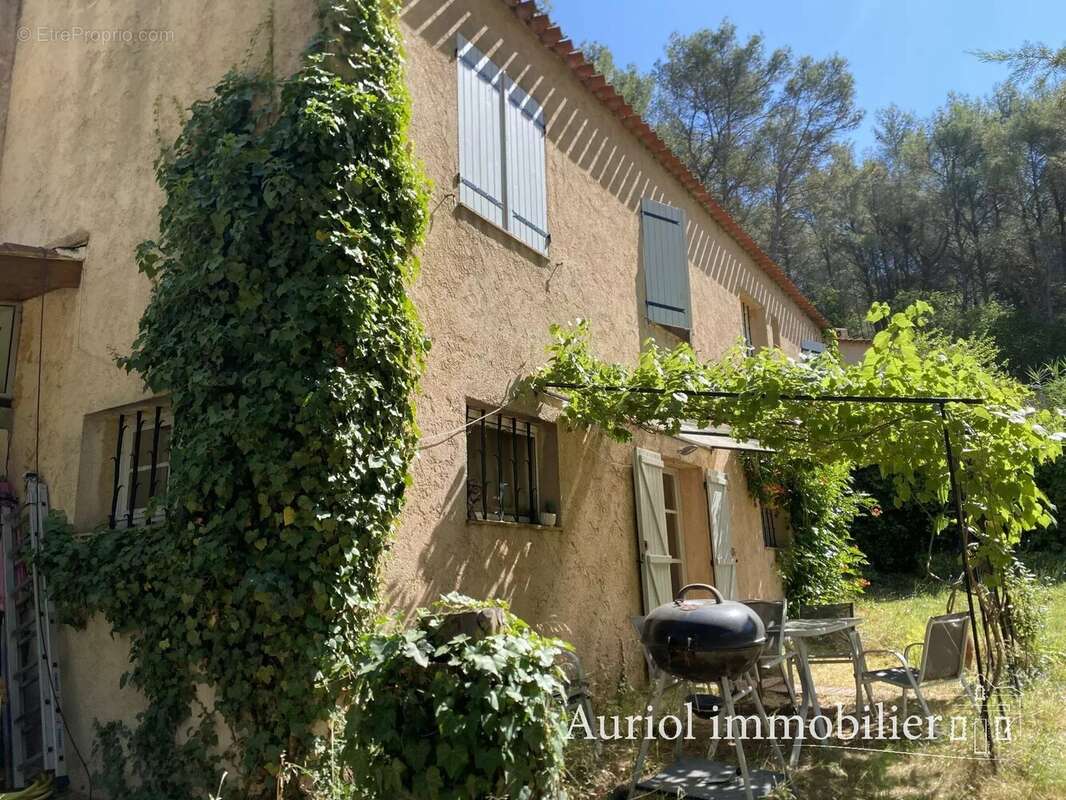 AURIOL - Villa 312 m² sur 9 690 m² de terrain - 3 logements - photo 2