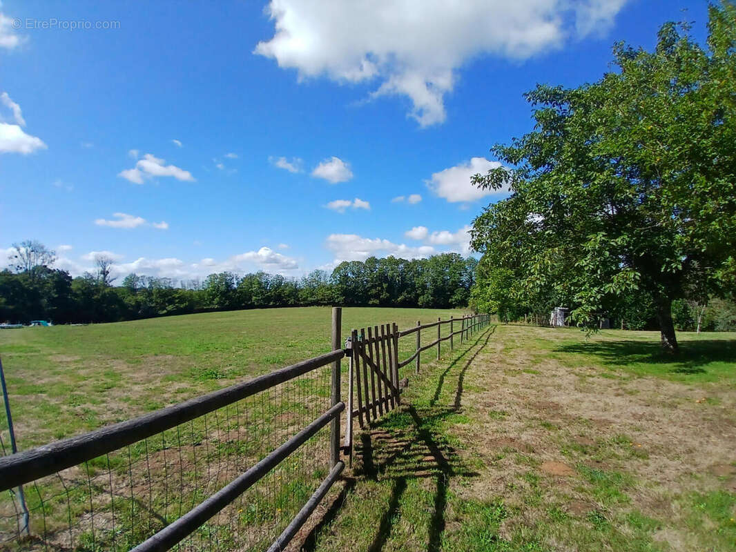 20250905_132729 - Maison à PAGEAS