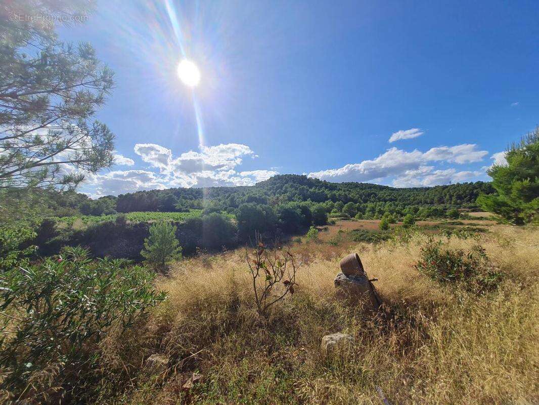 Maison à BIZE-MINERVOIS