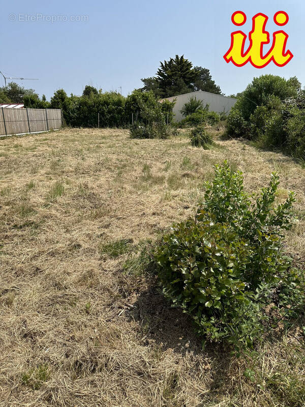 Terrain à OLONNE-SUR-MER