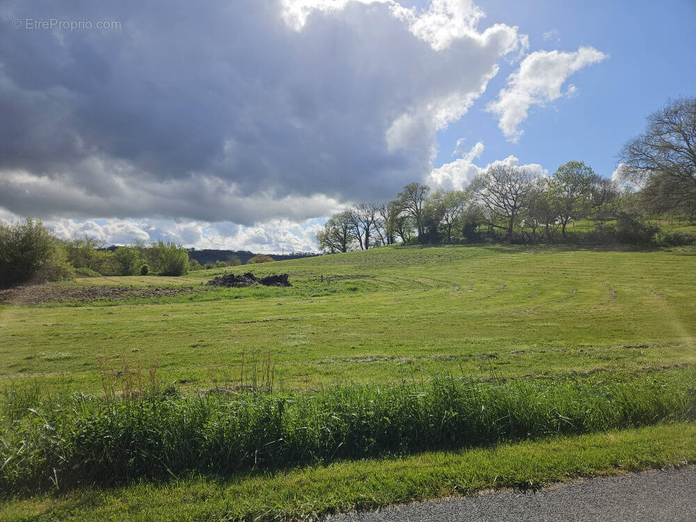 Terrain à BERTRE