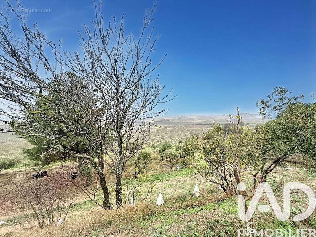 Photo 4 - Terrain à AZILLE