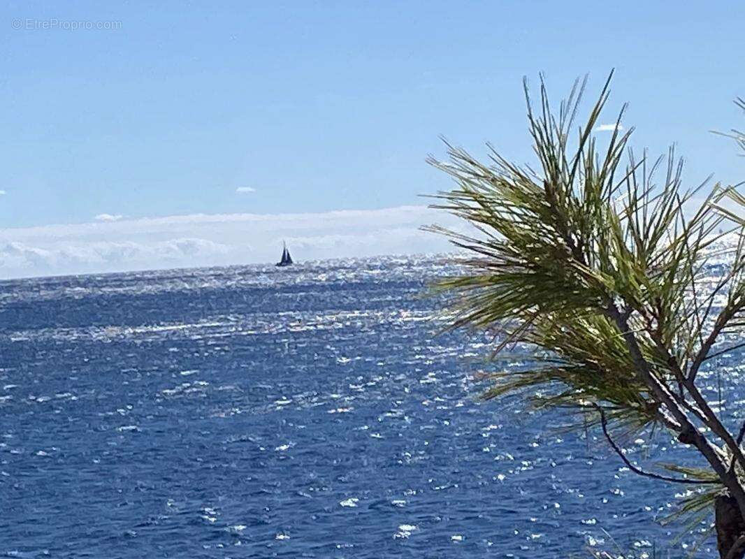 Maison à ROQUEBRUNE-SUR-ARGENS