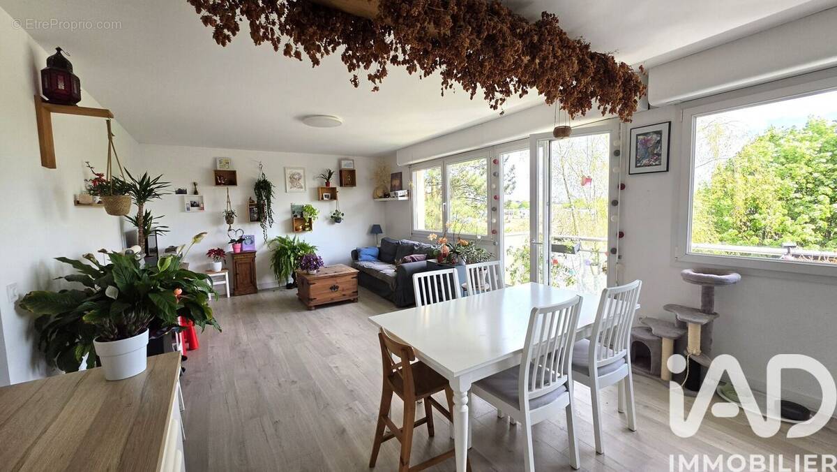 Photo 1 - Appartement à SAINT-ANDRE-LEZ-LILLE