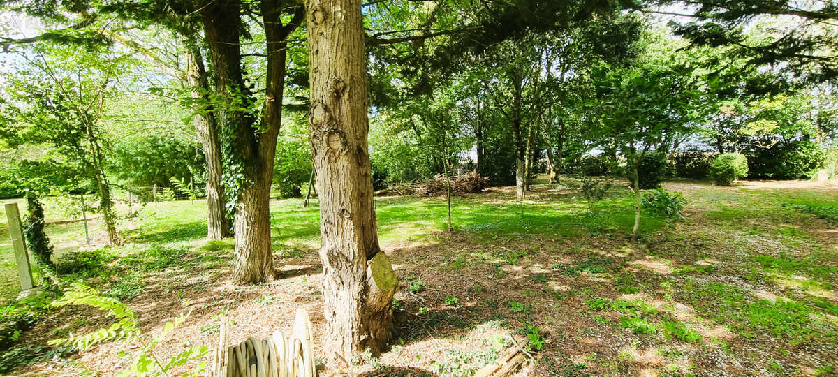 Maison à OUZOUER-LE-DOYEN