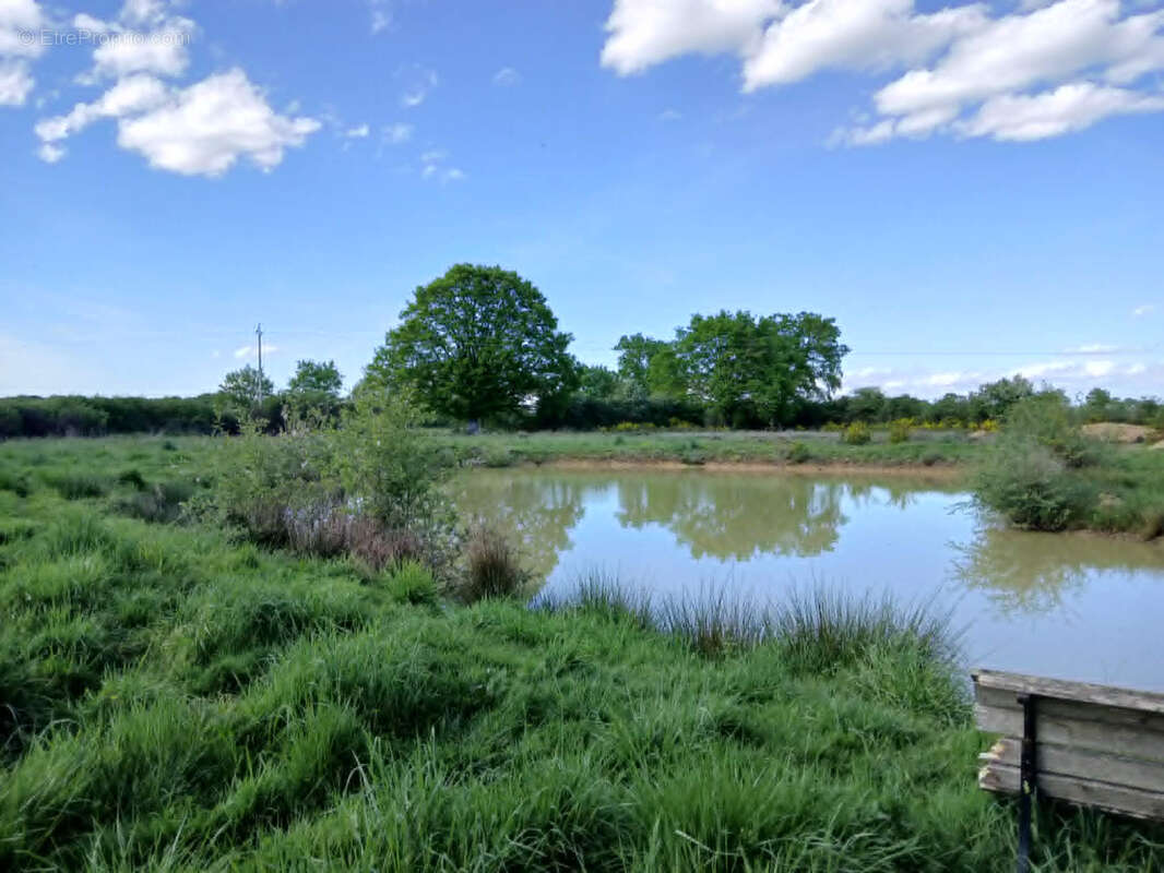 Exploitation caprine avec transformation fromagère, vente directe et maison d'habitation   19,33 ha   Indre - photo 17