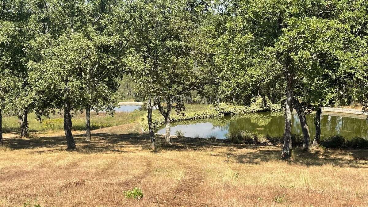 Maison à BAGNOLS-EN-FORET