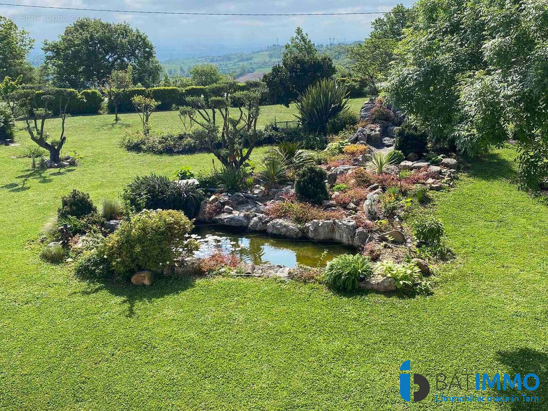 Bassin aquatique - Maison à ALBI