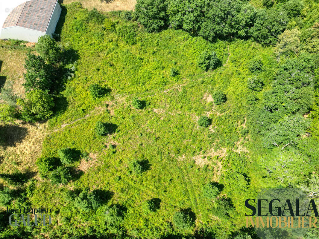 Terrain constructible de 4 526 m2 à Mirandol-Bourgnounac - photo 13