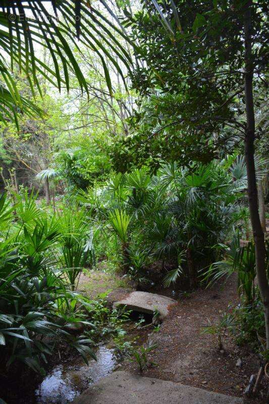 Maison à FERRALS-LES-CORBIERES