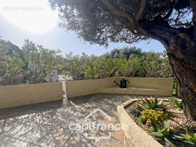 Maison à LE LAVANDOU