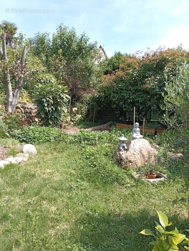 Maison à SAINT-JEAN-DU-FALGA