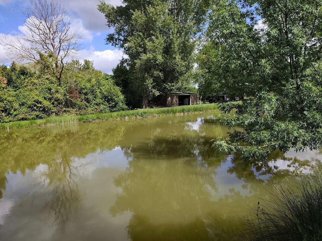 Photo 6 - Terrain à SAINT-GENOU