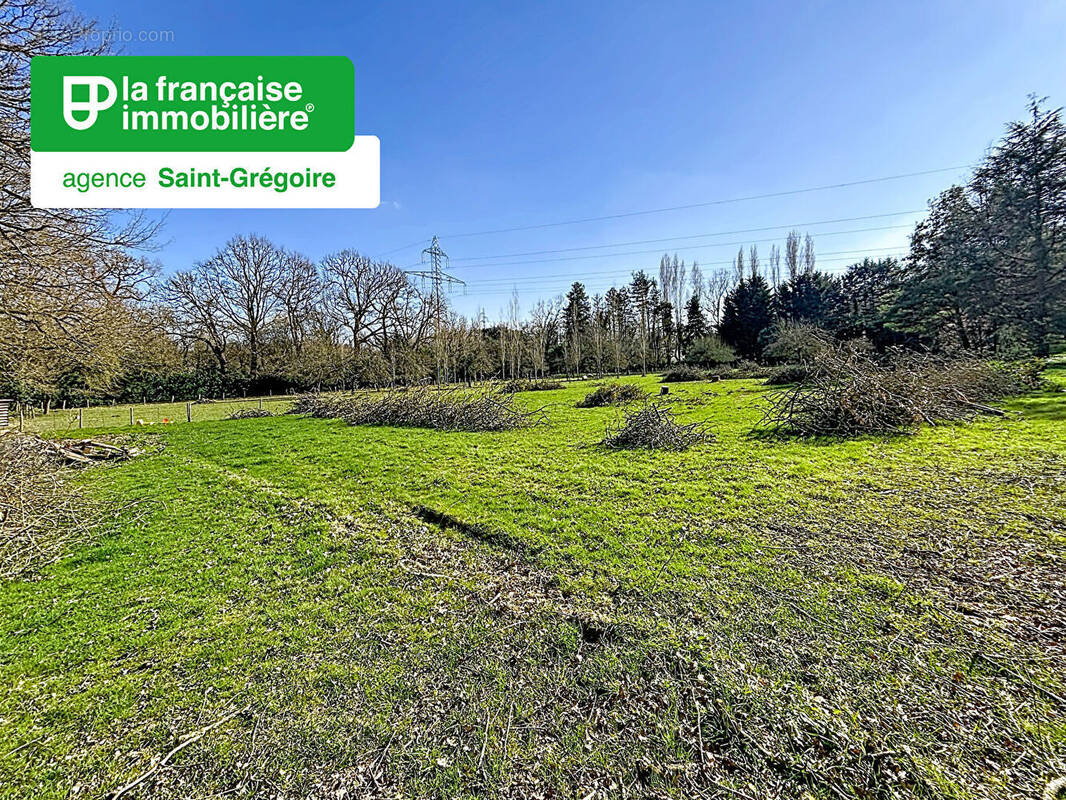 Terrain à SAINT-GREGOIRE