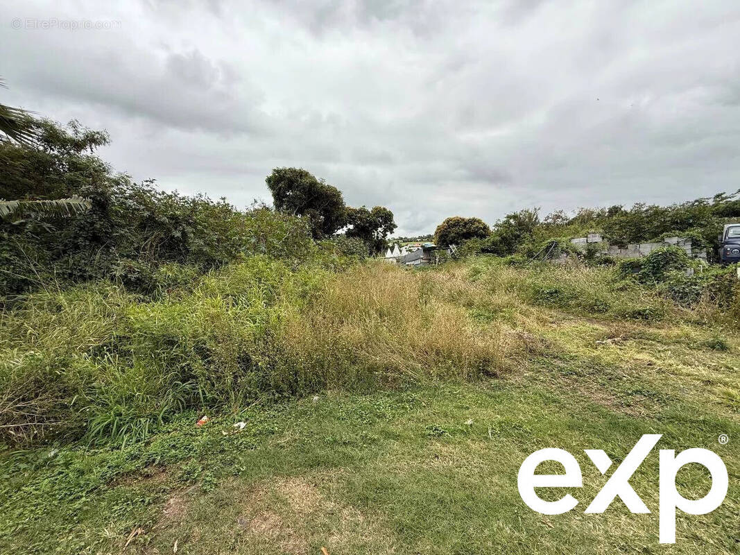 Terrain à SAINT-PIERRE