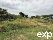 Terrain à SAINT-PIERRE