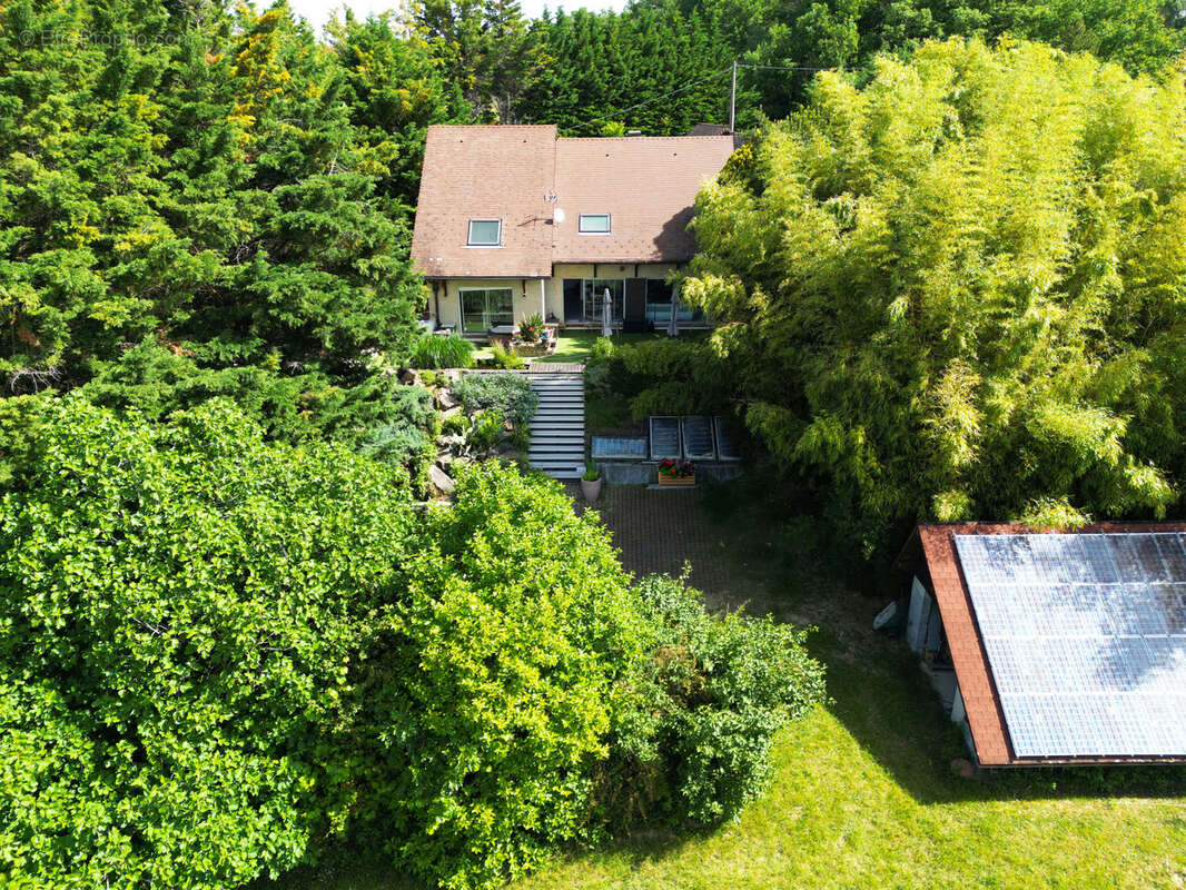 Propriété de 460m2 - 2 Habitations - photo 3