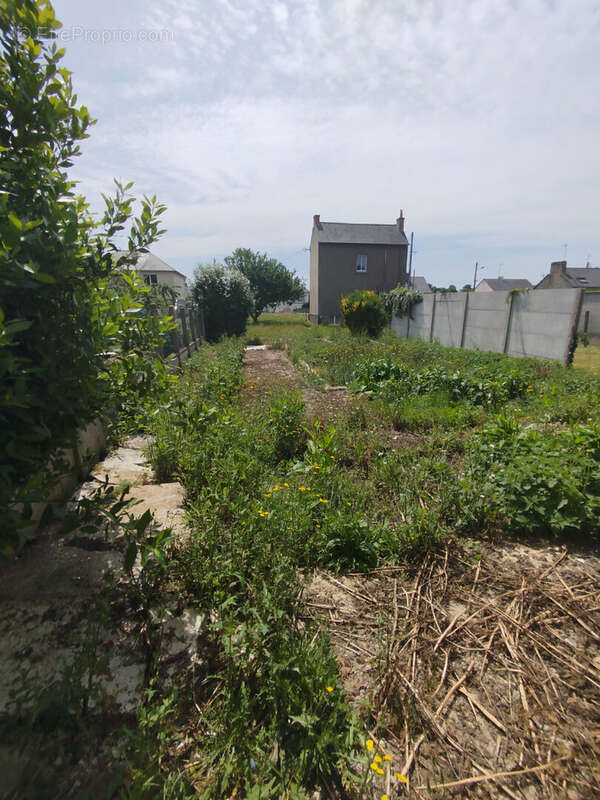 Terrain à LECOUSSE