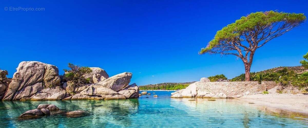 Appartement à PORTO-VECCHIO