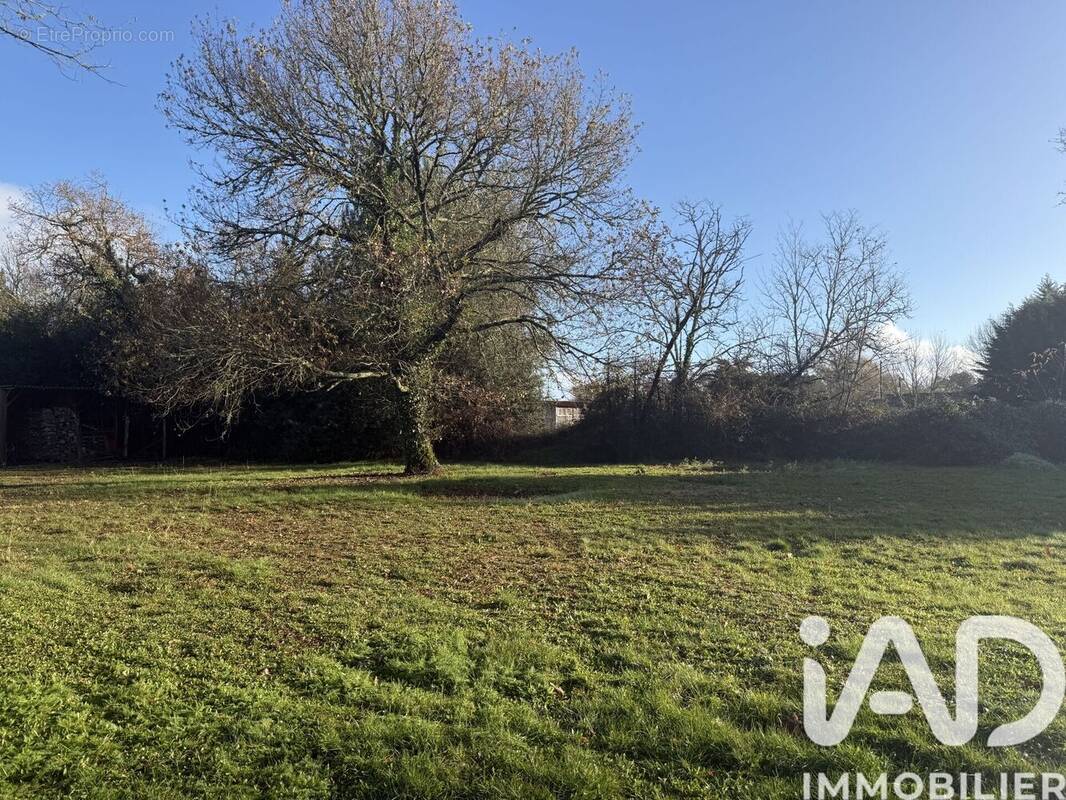 Photo 1 - Terrain à LE BARP