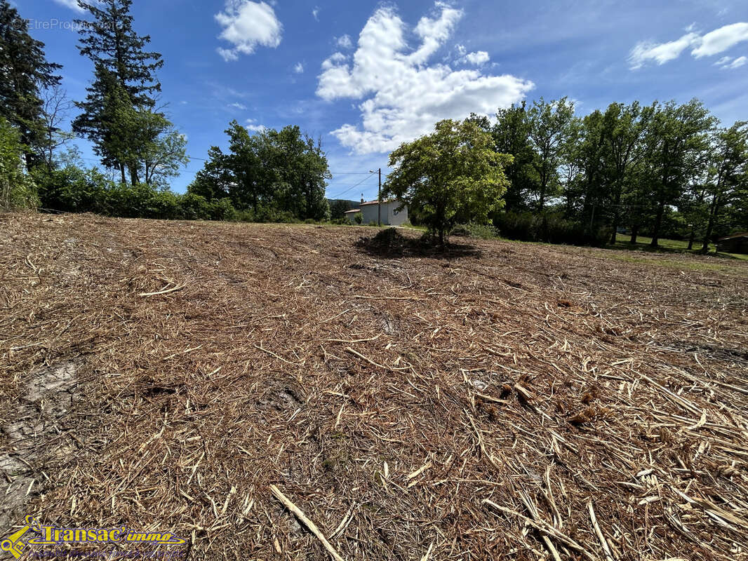 Terrain à PASLIERES
