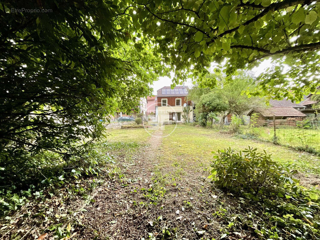 Maison à BUSCHWILLER