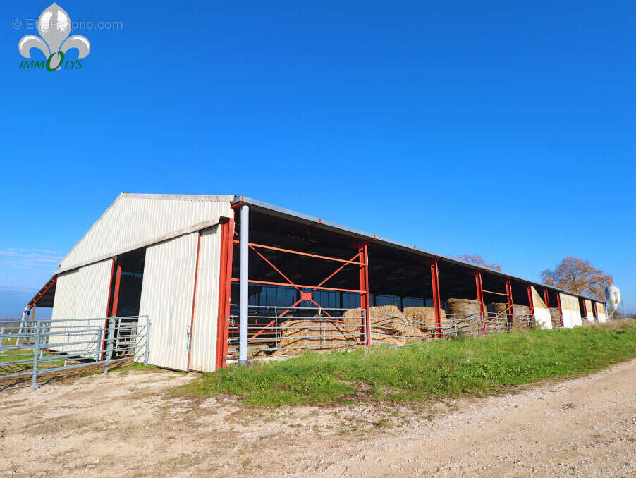 Autre à SAINT-JEAN-DE-LOSNE