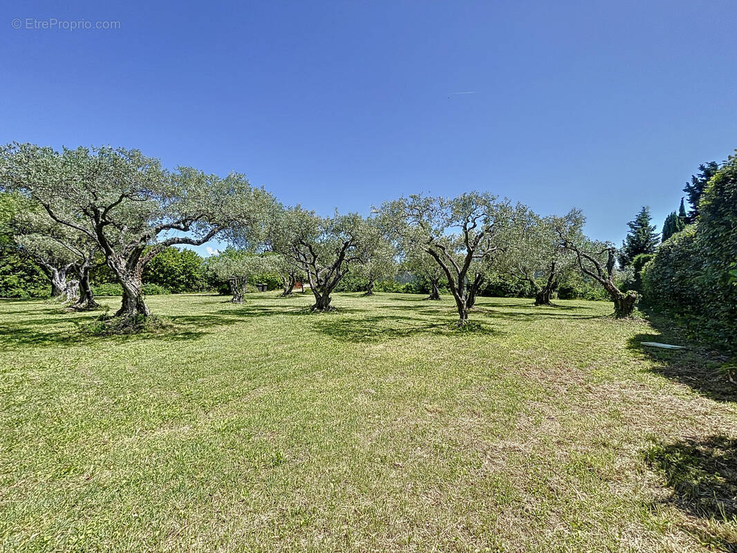 Terrain à PERNES-LES-FONTAINES