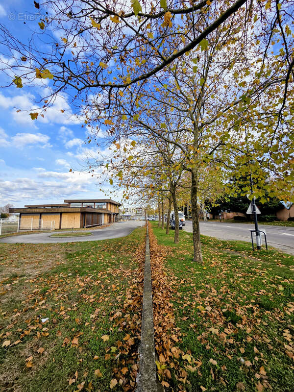 Commerce à ROMANS-SUR-ISERE