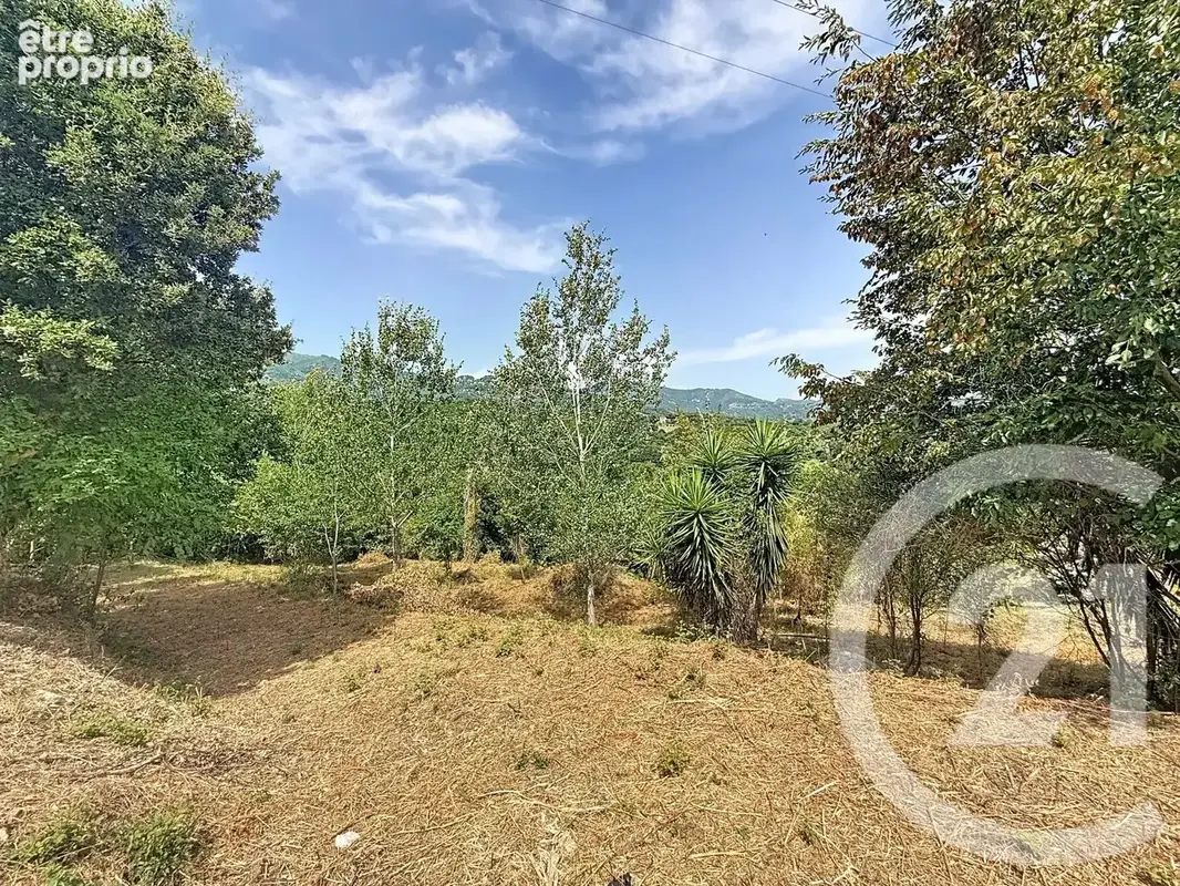 Terrain 2 000 m² à vendre à San-Nicolao (20230) - photo 7