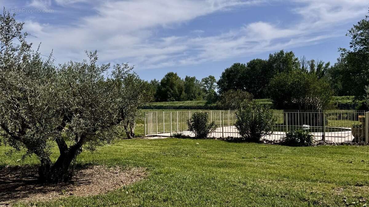 Maison 290 m² à Avignon  - photo 3