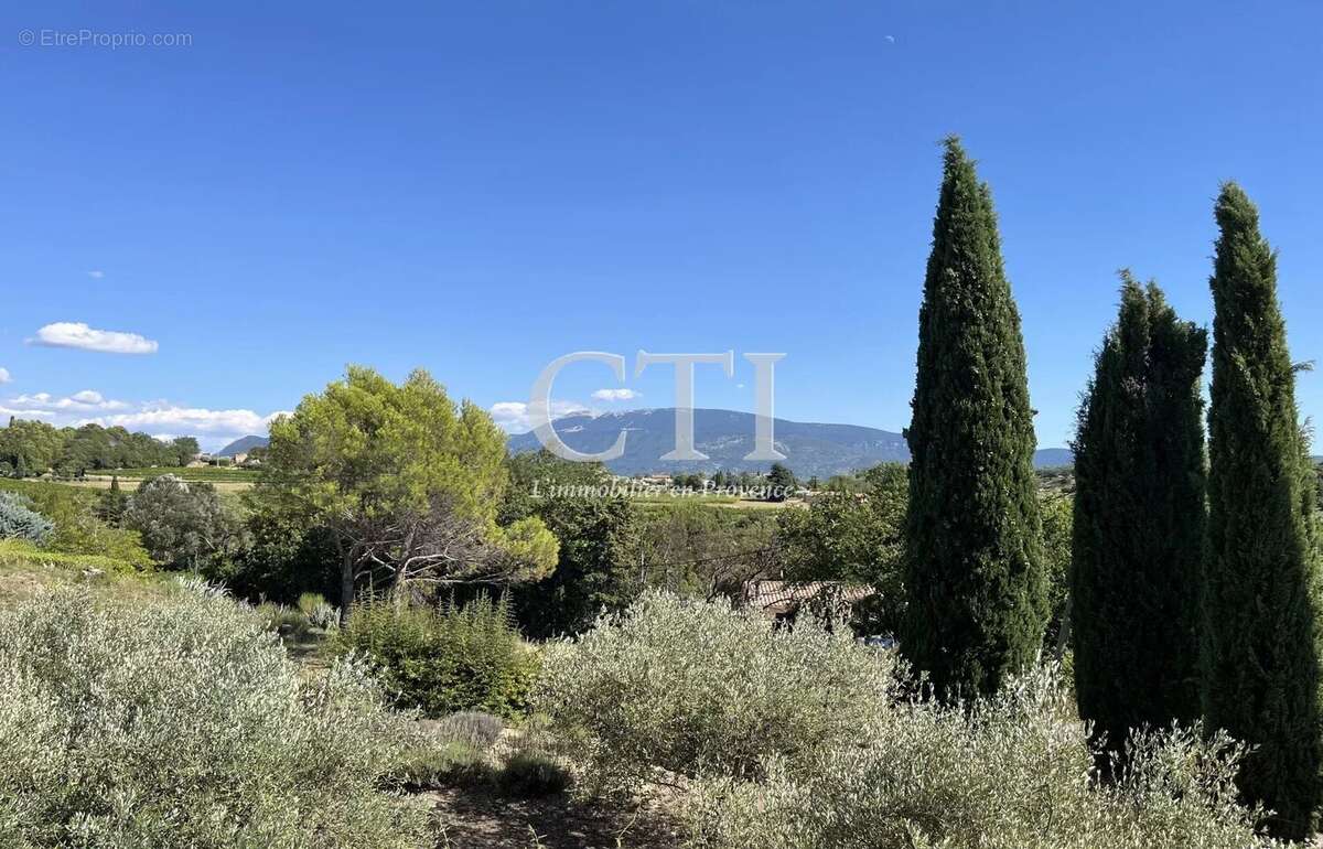 A vendre, propriété en pierre avec sur le Mont-Ventoux et Piscine - photo 15