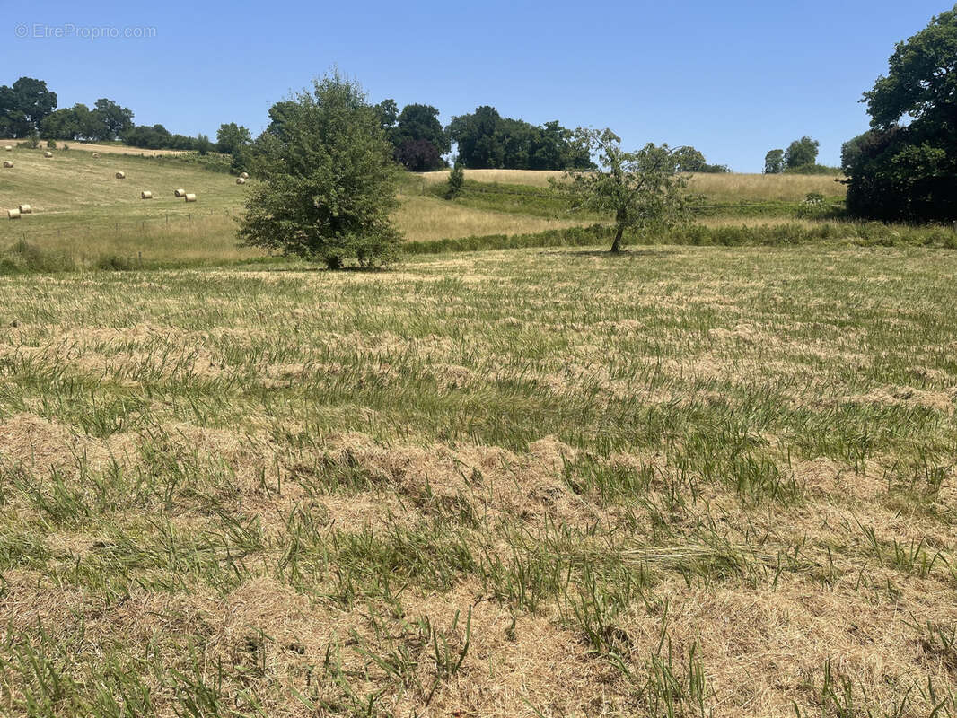 Terrain à SALIES-DE-BEARN