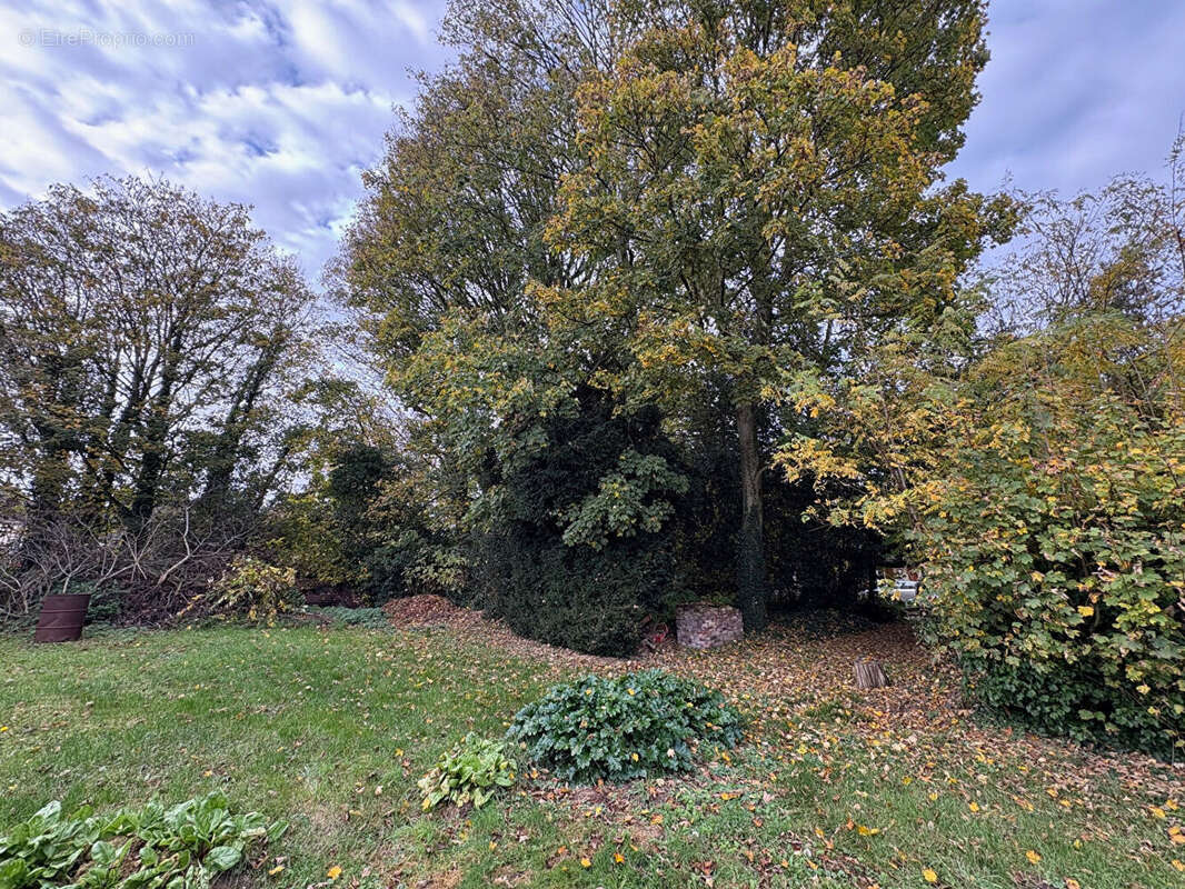 Maison à AMBLAINVILLE