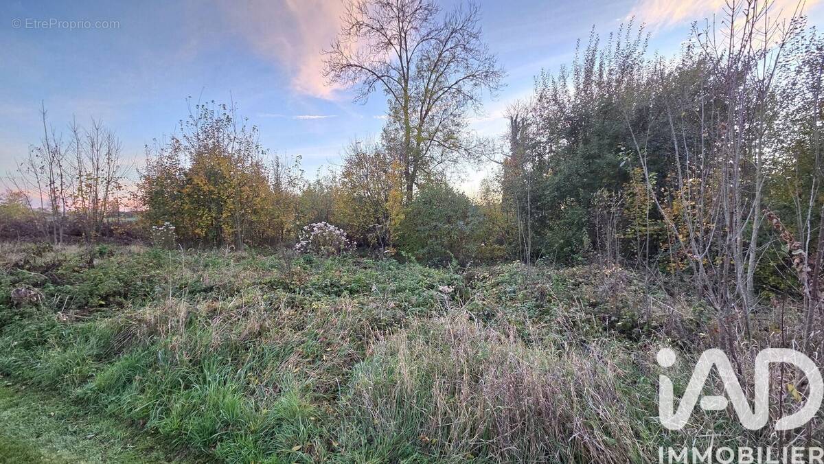Photo 1 - Terrain à SOMME-SUIPPE