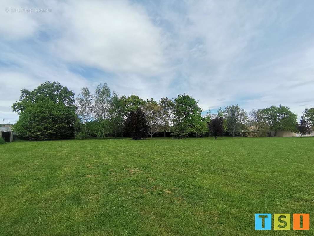 Terrain à MONTREJEAU