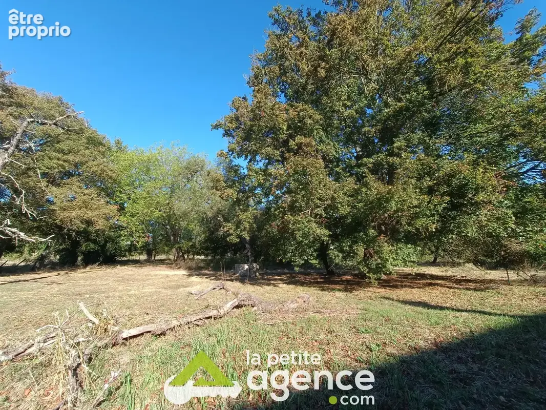 Longère sur 3500m2 - photo 19