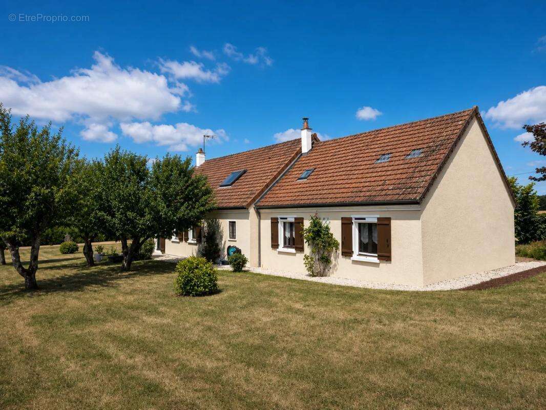 Maison de 5 pièces de 143 m² à Chevannes-Changy - photo 2
